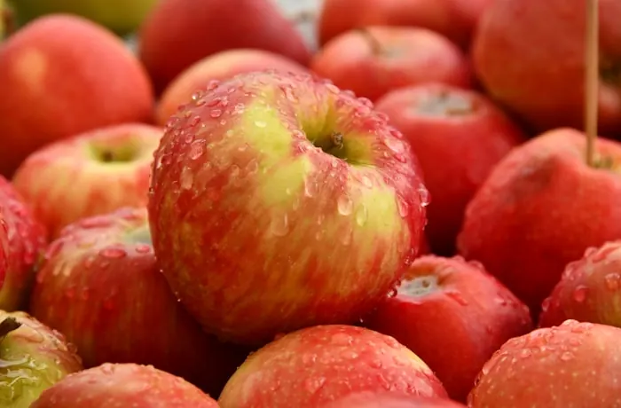 Frutales en verano